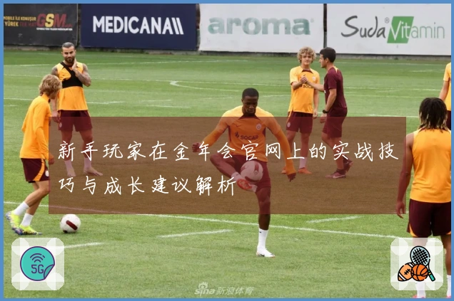 新手玩家在金年会官网上的实战技巧与成长建议解析
